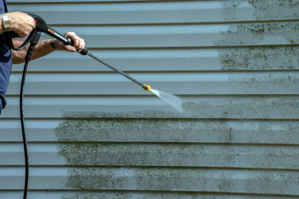 Best Roof Pressure Washing  in Tamaqua, PA